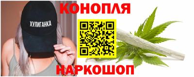 гидра Моздок