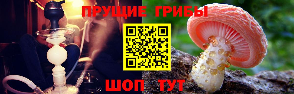 Дзержинский  Псилоцибиновые грибы Magic Shrooms  Псилоцибиновые грибы Cubensis  Вход с VPN 